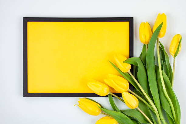Decorative empty frame with copy space and bouquet of tulips