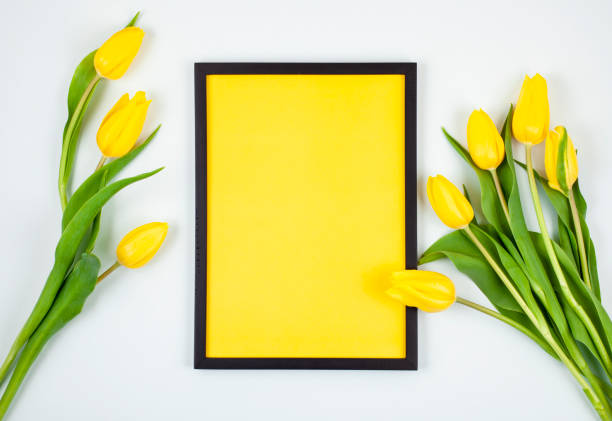istock Decorative empty frame with copy space and bouquet of tulips 1138619015
