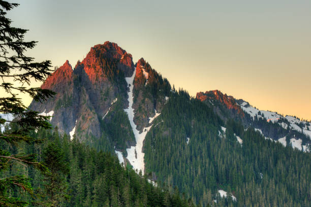 istock Paradise area at Mount Rainier National Park 1138620931
