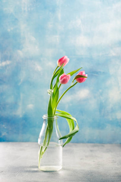 istock Bouquet of pink tulips 1138621028
