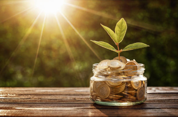istock Savings, investment concept 1138621220