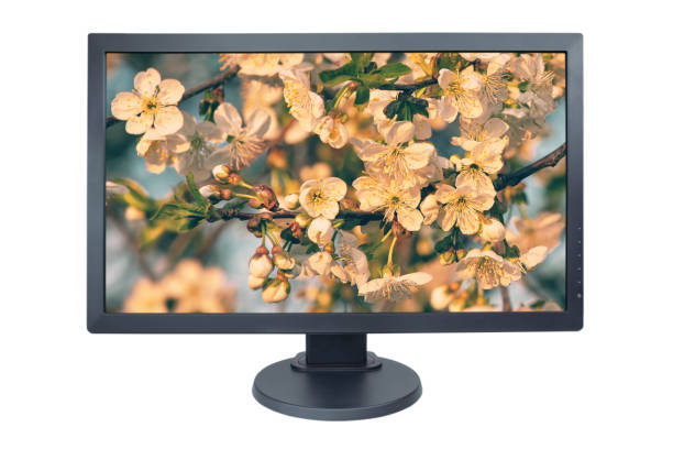 istock Computer monitor isolated on white with screensaver running 1138621462