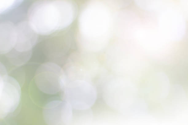 Natural spring blurred green leaves background.