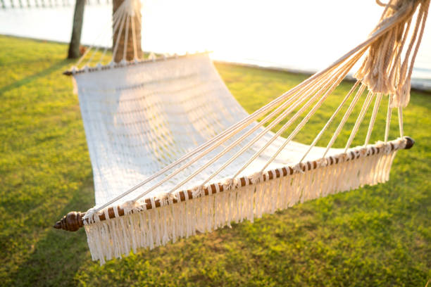 hammock on tropical palm trees overlooking the sea and sunset