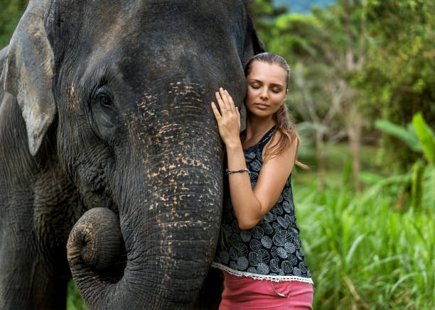 istock girl hugging an elephant in the jungle 1138623325