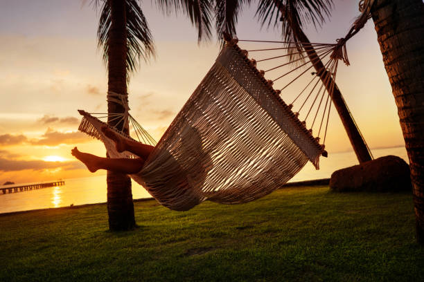 istock girl in a hammock bother palm trees enjoying a tropical vacation 1138623921