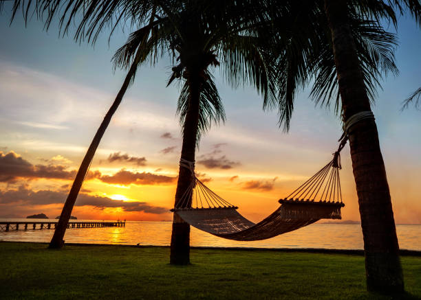 istock hammock on tropical palm trees overlooking the sea and sunset 1138624027