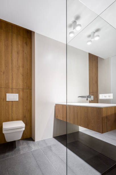 istock Elegant bathroom with cubic toilet 1138625389
