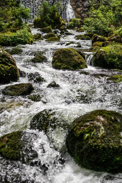 Mountain stream in the Austrian Alps near Obertraun.