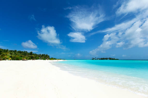 istock Maldives island with white sandy beach and sea 1138629080