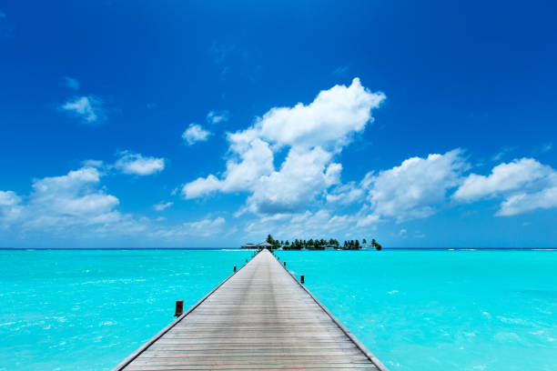 istock tropical Maldives island with white sandy beach and sea 1138629083