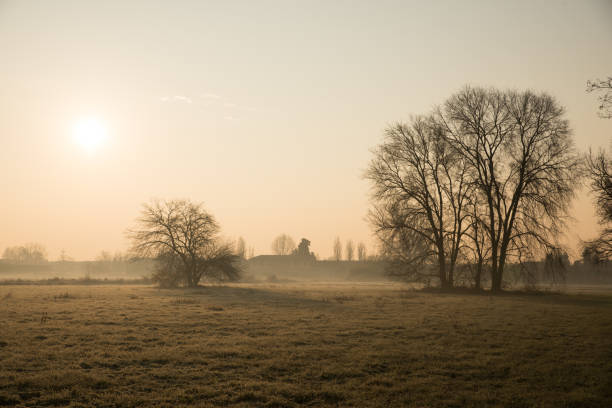 Winter trees in countryside landscape Winter trees at sunrise in Northern Italy's countryside sunset dew stock pictures, royalty-free photos & images