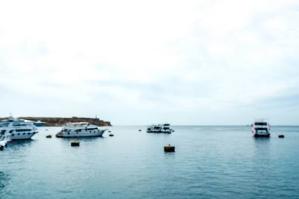 several white yachts are in the blue sea. Horizontal frame