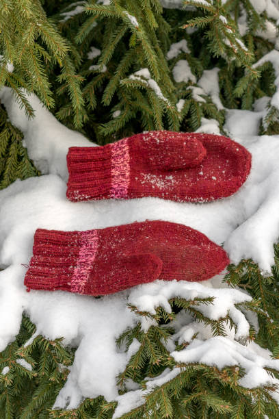 istock handmade red mittens on the snow on the tree 1138635819