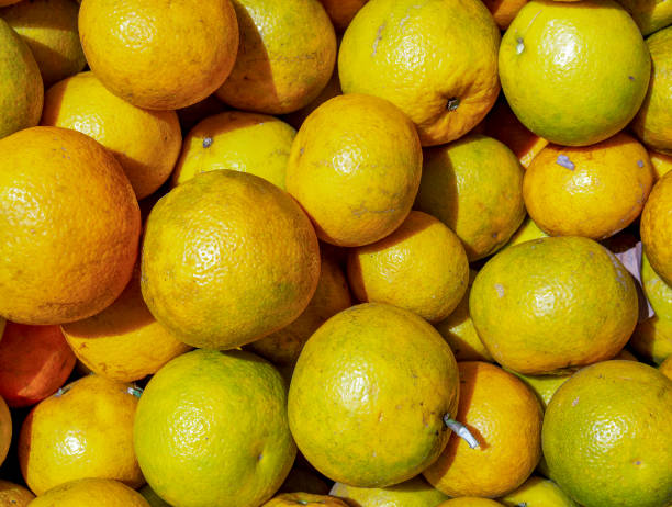 istock Pile of oranges 1138637433