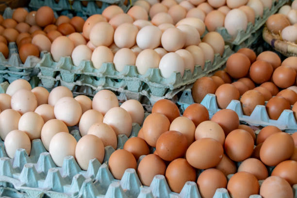 istock Chicken eggs for sale at a souk in Agadir, Morocco 1138637786