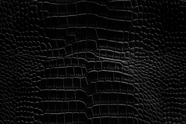 istock Black crocodile leather texture background Ready used us backdrop or products design 1138637963