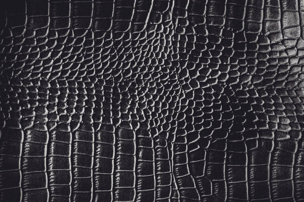 istock Black crocodile leather texture background Ready used us backdrop or products design 1138637977