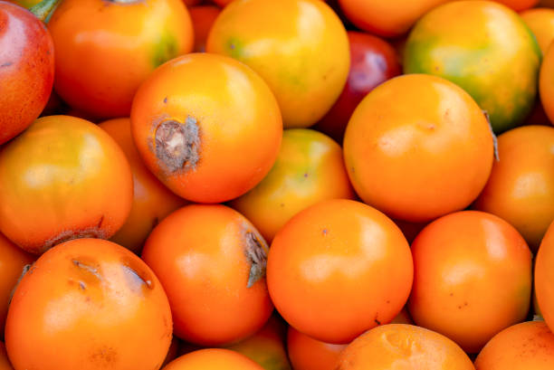 Close-up photography of a pile of naranjillas captured at the local traditional market of the colonial town on Villa de Leyva, in the central mountains of the Colombian Andes.