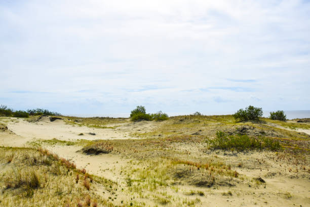 istock deserted sandy landscape with greenery trees and woods  weather sky 1138642679