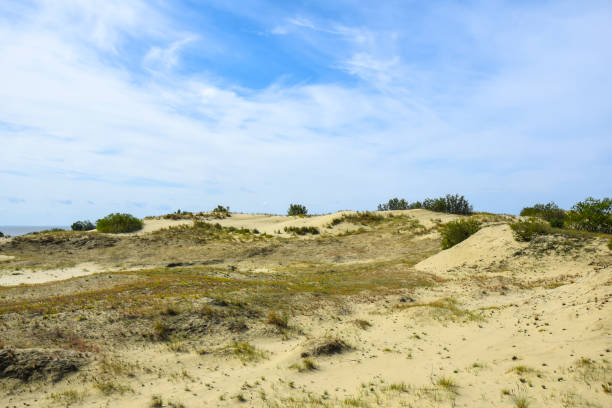 istock deserted sandy landscape with greenery trees and woods  weather sky 1138642804