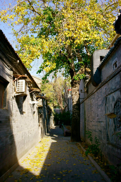 Hutong Narrow Lane Bicycle China