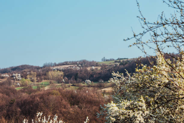 istock A view at a hill on sunny spring day. 1138644245