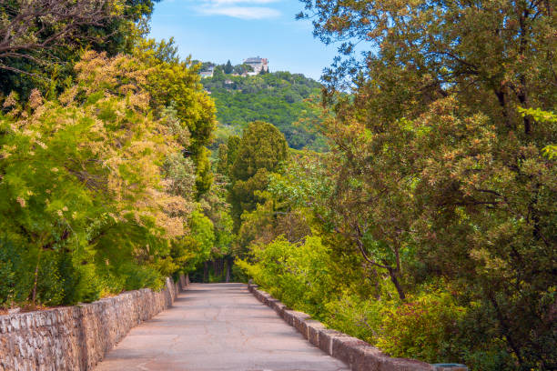 landscaped alley in the Park recreation area Beautiful landscaped alley, footpath, area for walking and recreation in the Crimea 2632 stock pictures, royalty-free photos & images