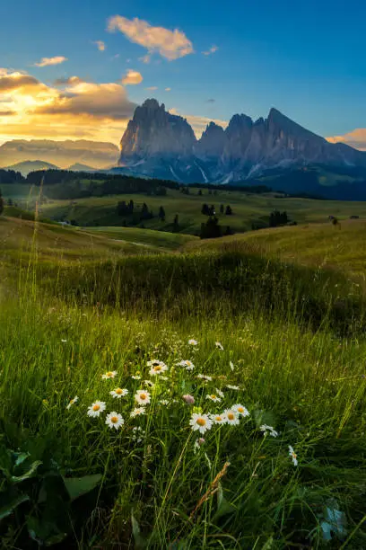 Beautiful landscape of Alpe di siusi - Seiser alm in Dolomite, Italy in the morning.