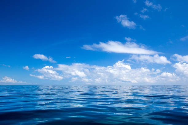 istock tropical beach in Sri Lanka 1138646313