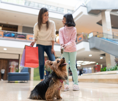 Portrait of a happy mother and daughter shopping at the mall with their dog and smiling