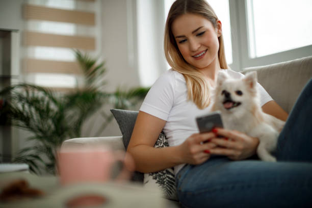 istock Woman with her dog using mobile phone at home 1138653527