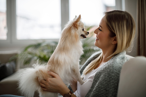 Smiling woman holding cute, small dog at home