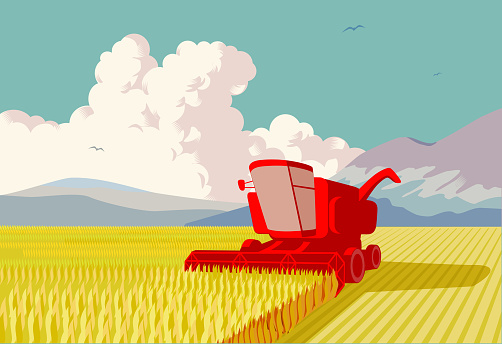 Landscape with combine harvester