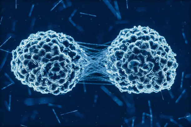 3d medical illustration of the cancer cells during division.