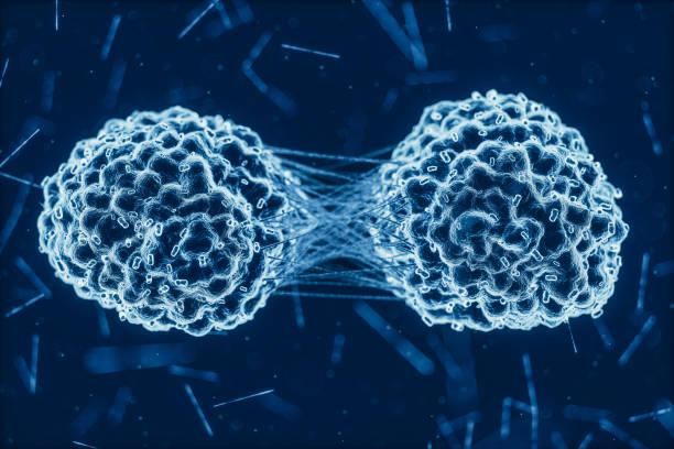 divisão de células cancerosas - ilustração biomédica - fotografias e filmes do acervo