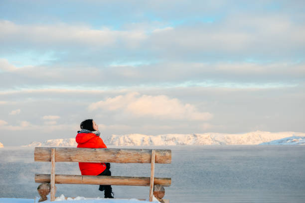 istock Asian woman sitting on bench on Arctic beach 1138655430