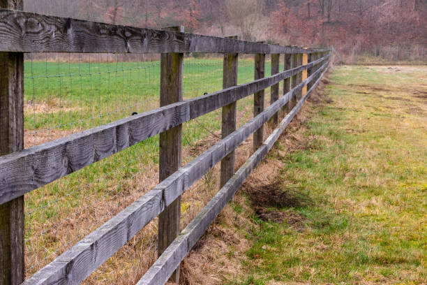istock Wooden Fence for Animals 1138657142