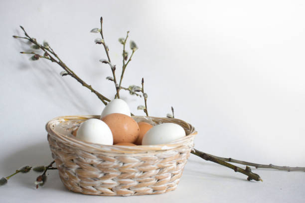 istock Nest with white and brown chicken eggs and quail eggs, willow branches 1138657288