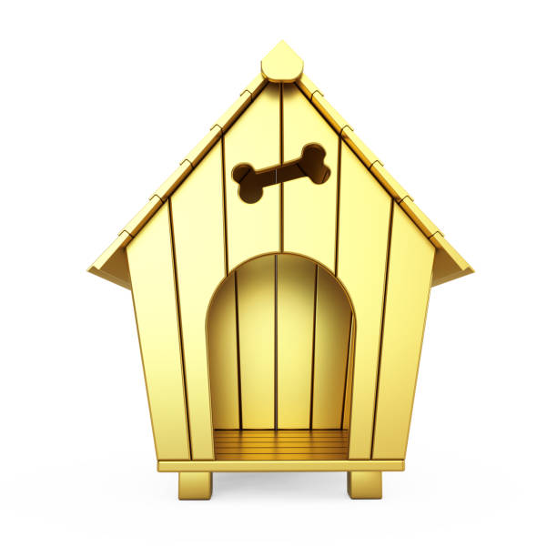 istock Golden Cartoon Dog House. 3d Rendering 1138657356