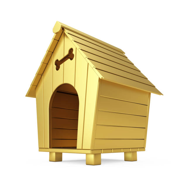 istock Golden Cartoon Dog House. 3d Rendering 1138657478