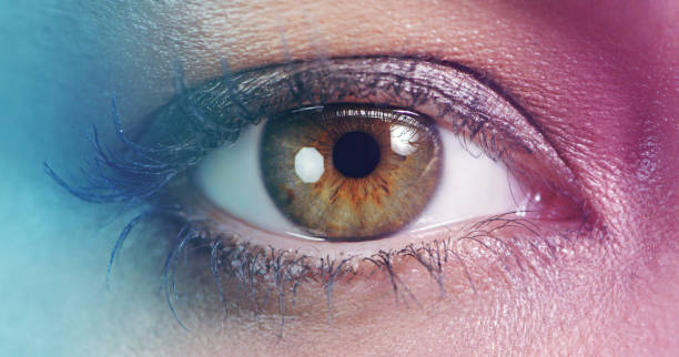 istock Live a life full of color 1138659317