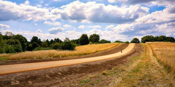 una nuova pista ciclabile si snoda attraverso un campo di grano sotto il cielo cristallino con nuvole. germania - clear sky panoramic grass scenics foto e immagini stock