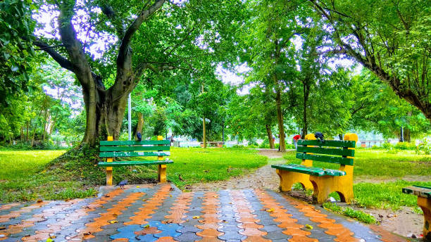 istock Green Park and Green Grass 1138663662