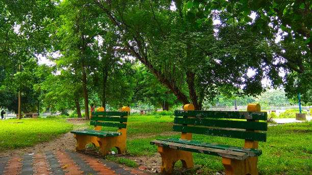 istock Green Park and Green Grass 1138664213