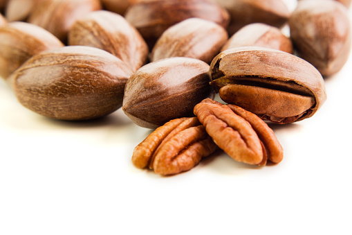 Not cleaned pecan nuts in the shell with pecan kernel isolated on white. The concept of useful foods and proper nutrition, natural vitamins and minerals, antioxidants. Copy space for text.