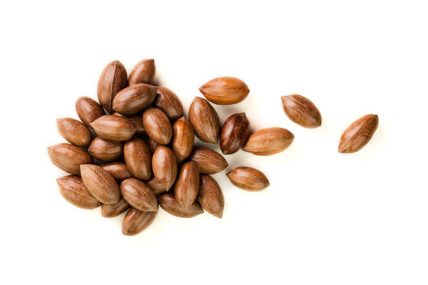 istock Not cleaned pecan nuts in the shell isolated on white. 1138666402