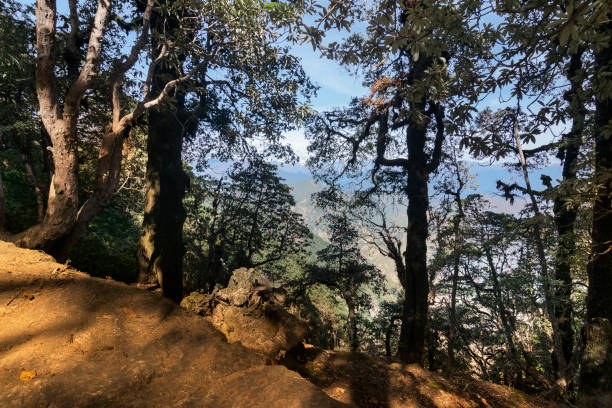 istock Trekking route to Tunganath, the highest Kedar 1138666506