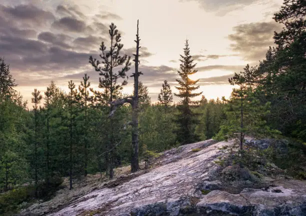 Photo of Scenic landscape with woodland and sunset at evening in Koli, national park, Finland