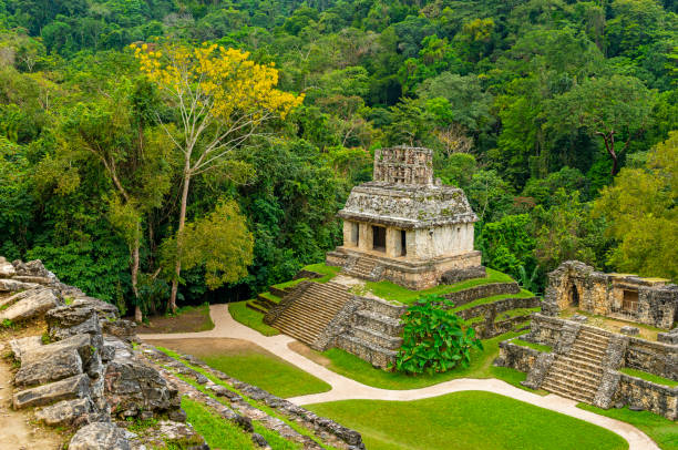 palenque mayan ruins in the rainforest, mexico - mayan pyramids imagens e fotografias de stock